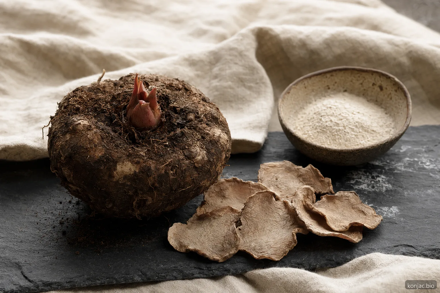 amorphophallus rivieri konjac corm source matters because dried slices and powder specifications trace back to harvest
