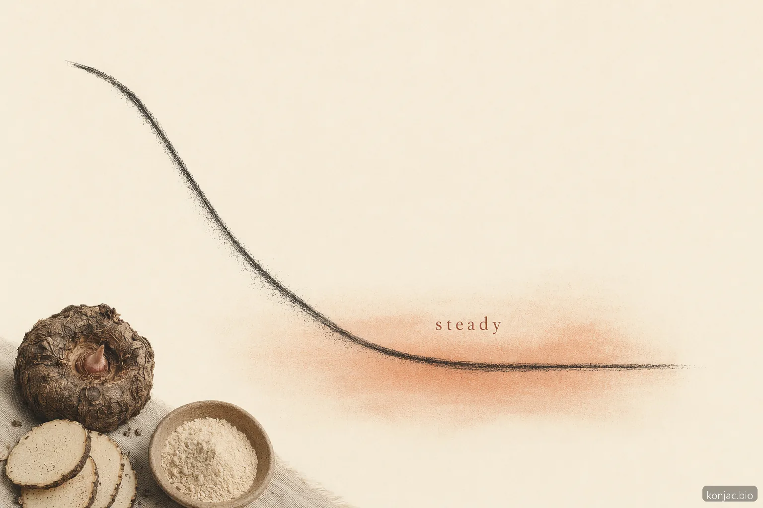 is konjac flour healthy, a single satiety curve shows soluble fiber may help hunger feel steadier after meals.