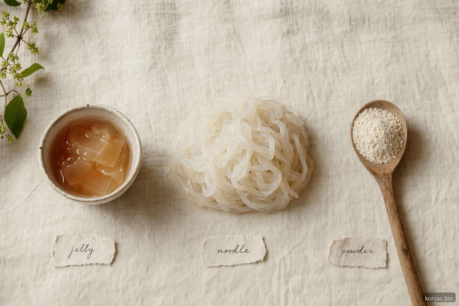 tastelli konjac jelly differs from noodles and powder because it is a ready-to-eat sweet snack format