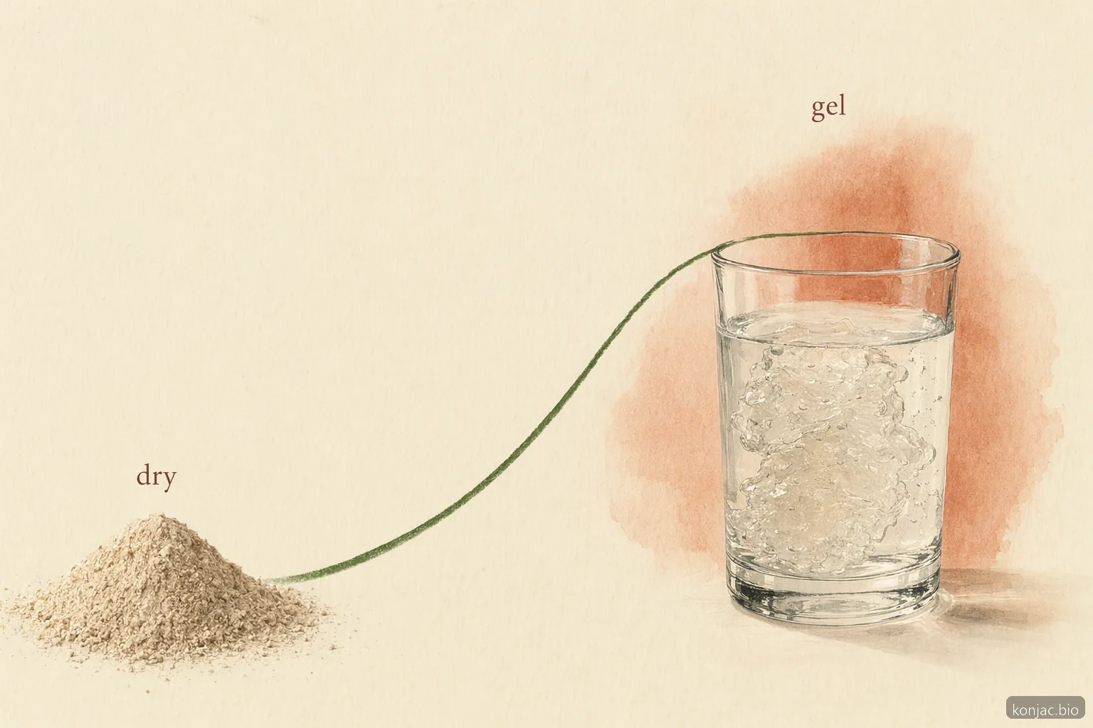 how to take glucomannan for weight loss: glucomannan thickens with water, so avoid swallowing it dry.
