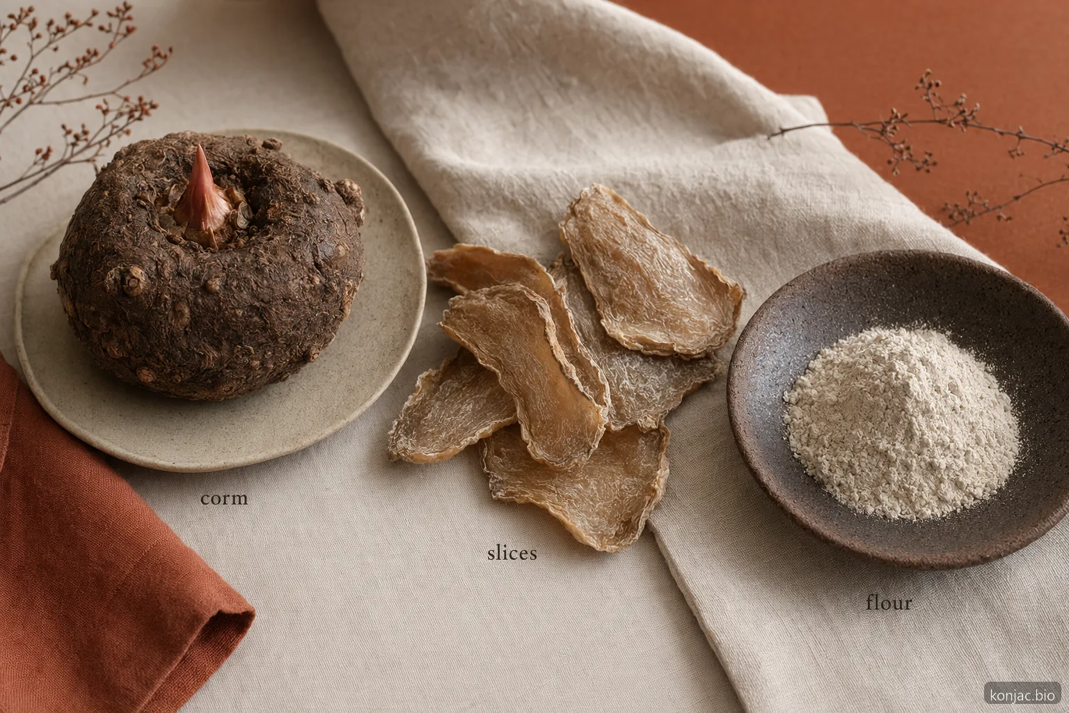 What is konjac corm-to-flour still life showing fresh corm, dried slices, and powder as one ingredient path.